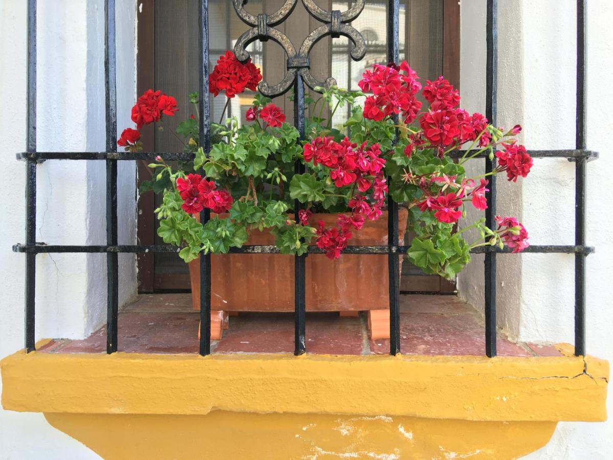 La Escondida Ronda, B&B Exterior photo